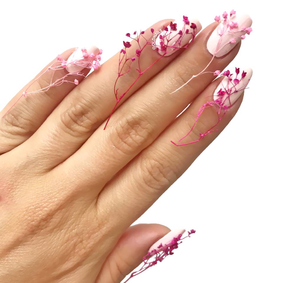 פרחים מיובשים על הציפורניים Dry Flower Nails